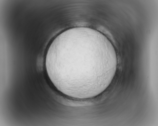 X0000096160012200802151424