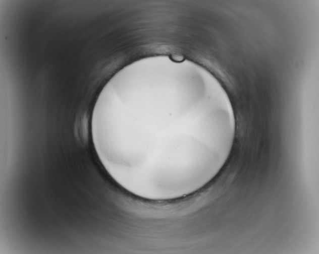 X0000096160014200802151424