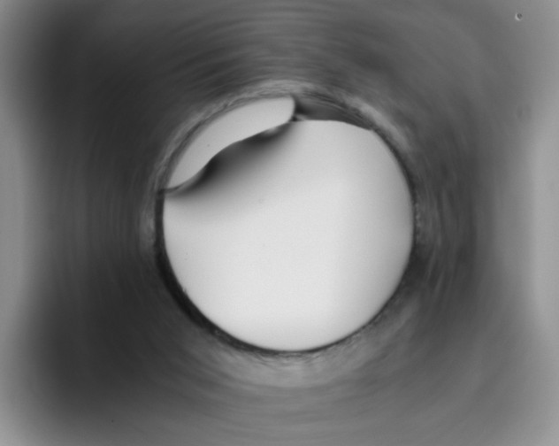 X0000096160015200802151424