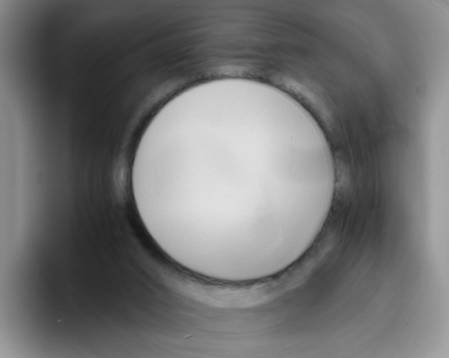 X0000096160016200802151424