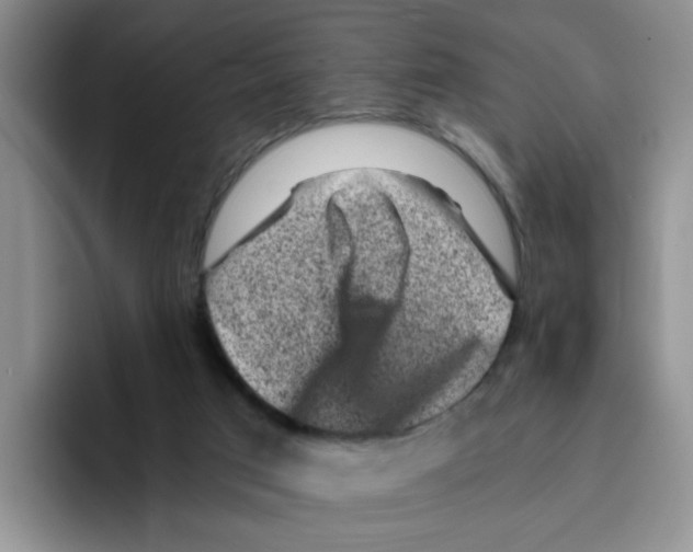 X0000096160017200802151424