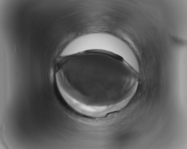 X0000096160019200802151424