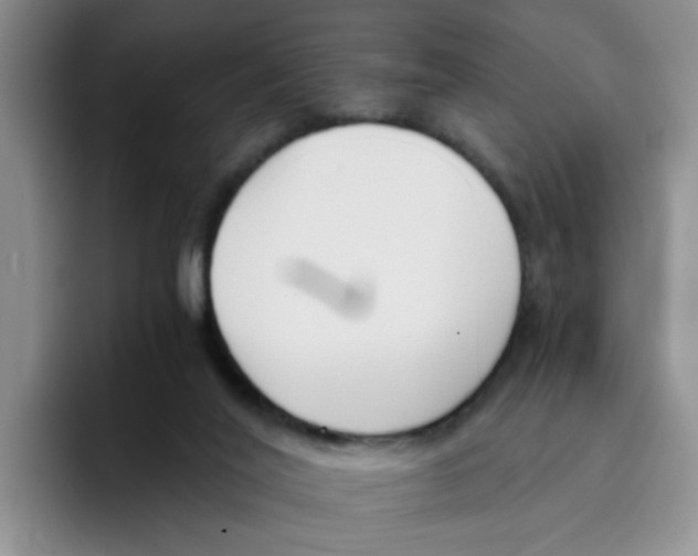 X0000096160020200802151424