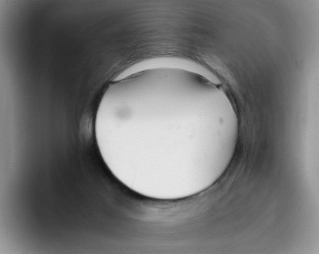 X0000096160021200802151424