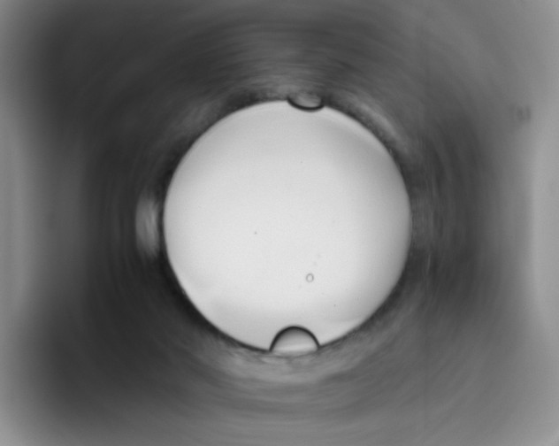 X0000096160022200802151424