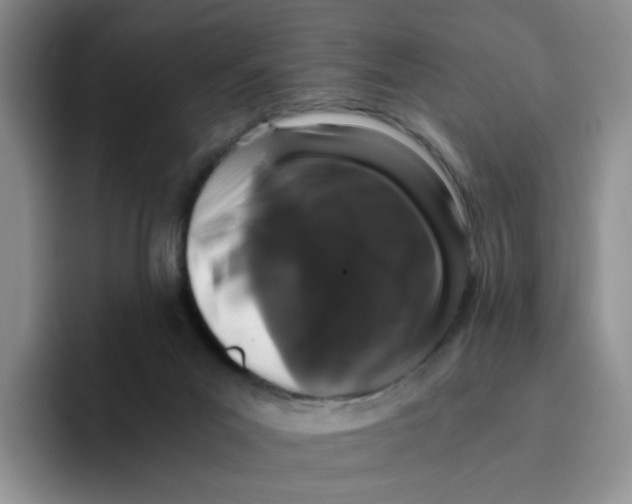 X0000096160023200802151424