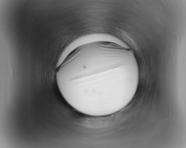 X0000096160025200802151424