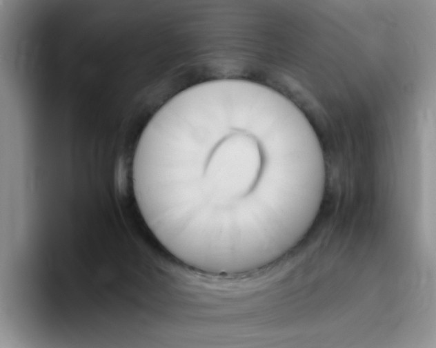 X0000096160026200802151424