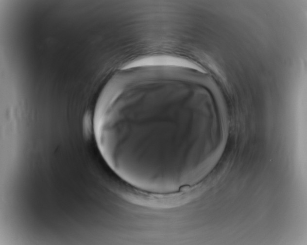 X0000096160027200802151424