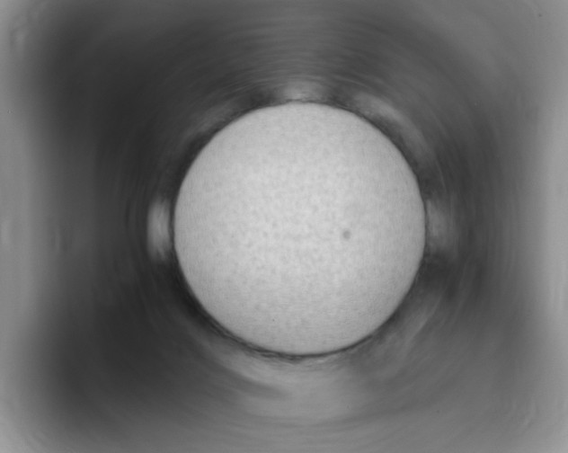 X0000096160028200802151424