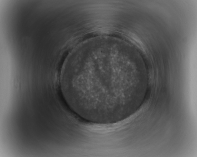 X0000096160029200802151424