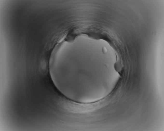 X0000096160031200802151423