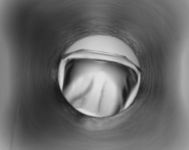 X0000096160033200802151423