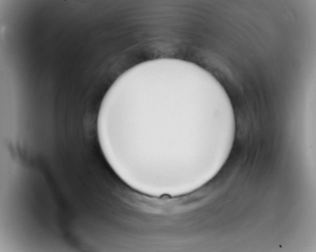 X0000096160034200802151423