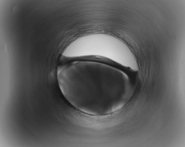 X0000096160035200802151423