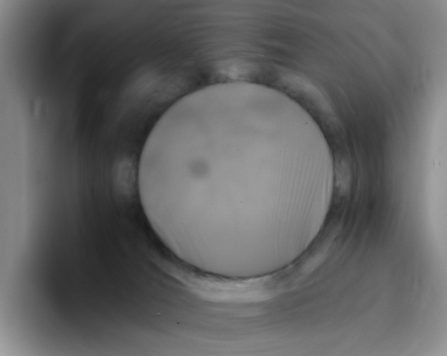 X0000096160036200802151423