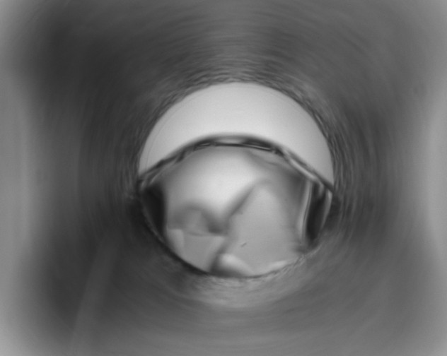 X0000096160037200802151423