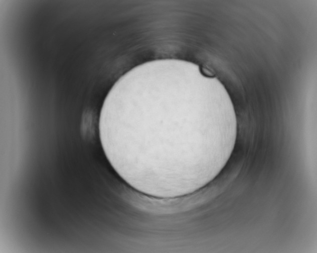 X0000096160038200802151423