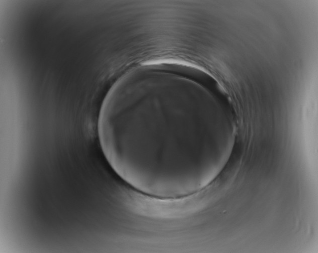 X0000096160039200802151423