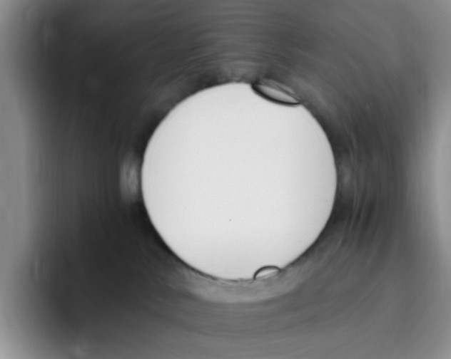 X0000096160042200802151423