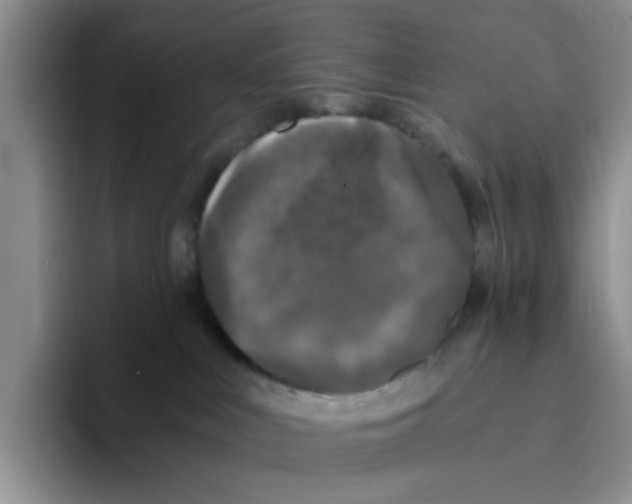 X0000096160043200802151423