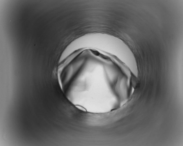 X0000096160045200802151423