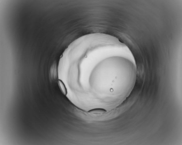 X0000096160046200802151423