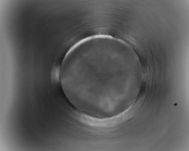 X0000096160047200802151423