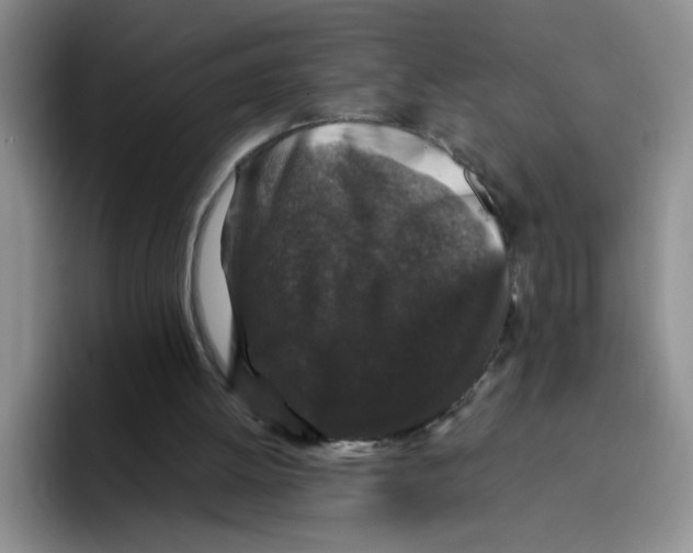 X0000096160052200802151423