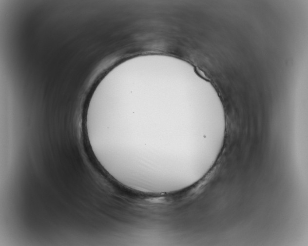 X0000096160054200802151423