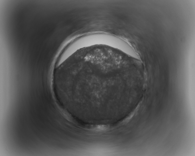 X0000096160056200802151423