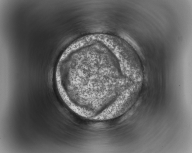 X0000096160058200802151423