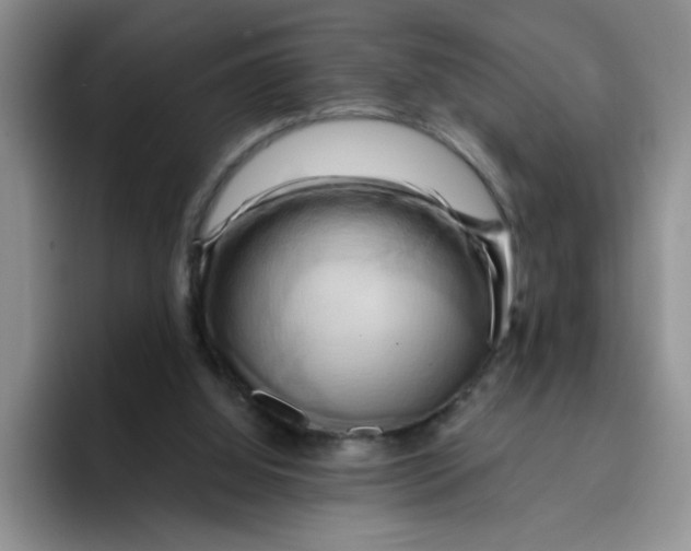 X0000096160060200802151423