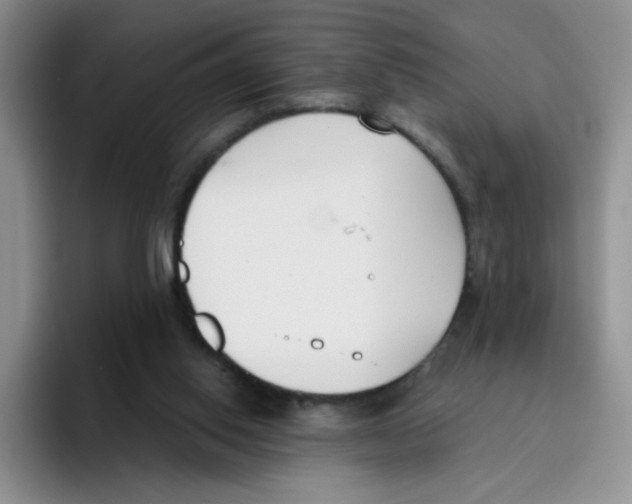 X0000096160062200802151423