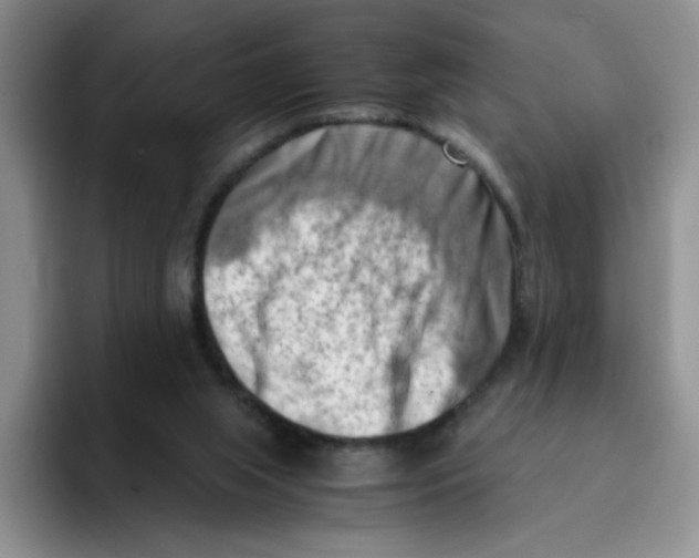 X0000096160063200802151423