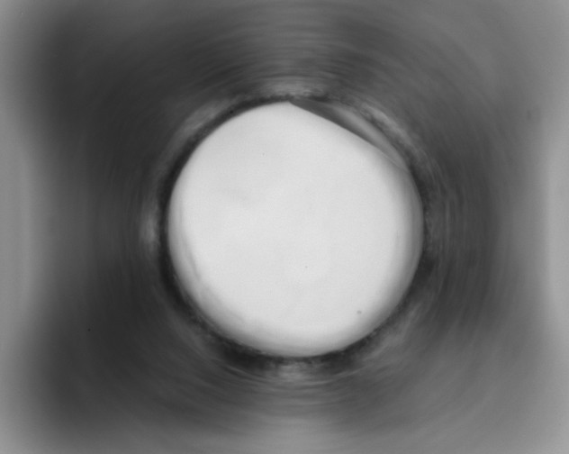 X0000096160064200802151423