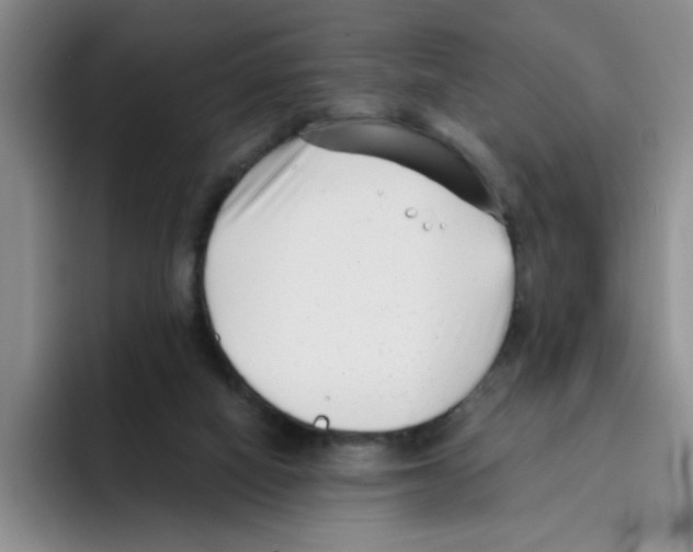 X0000096160066200802151423