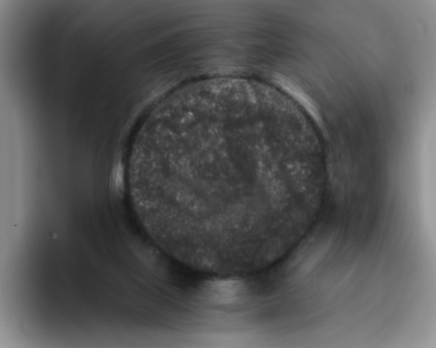 X0000096160067200802151423