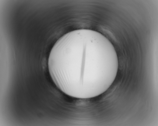 X0000096160077200802151423