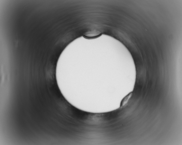 X0000096160078200802151423