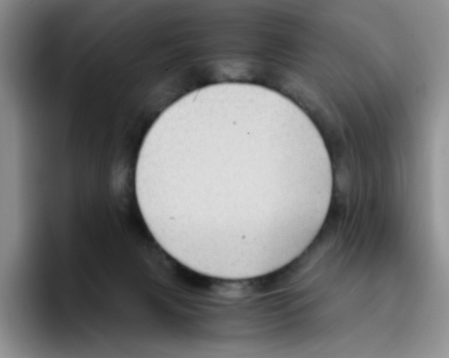 X0000096160079200802151423