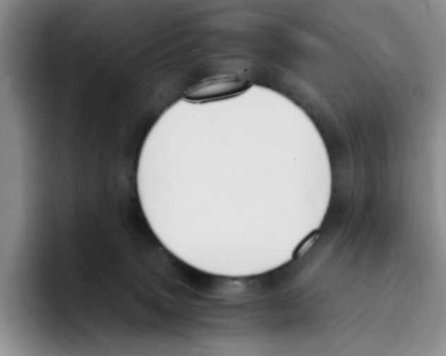 X0000096160083200802151423