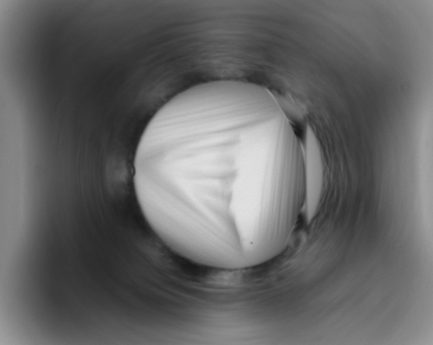 X0000096160084200802151423