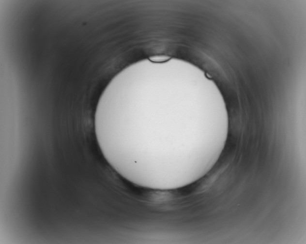 X0000096160085200802151423