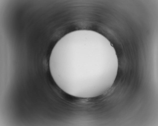 X0000096160086200802151423