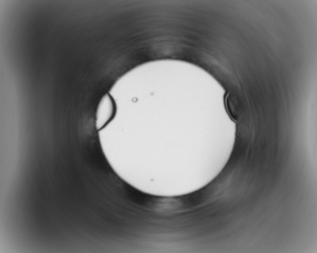 X0000096160087200802151423