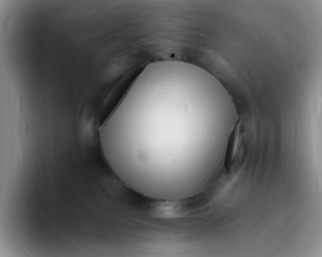 X0000096160088200802151423