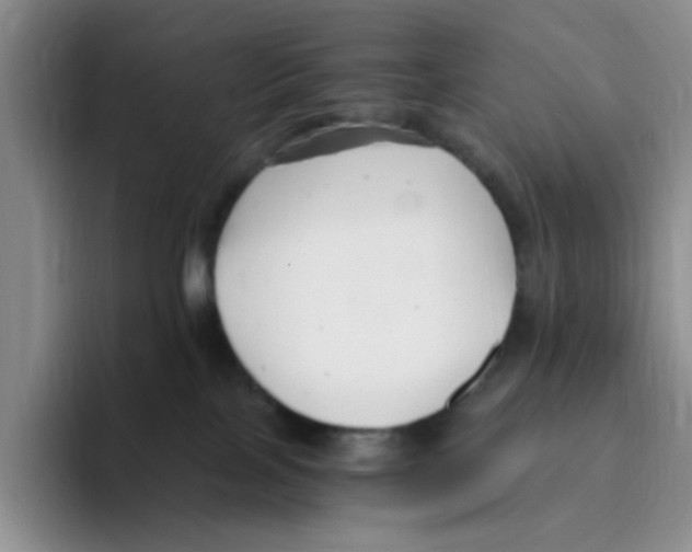 X0000096160089200802151423