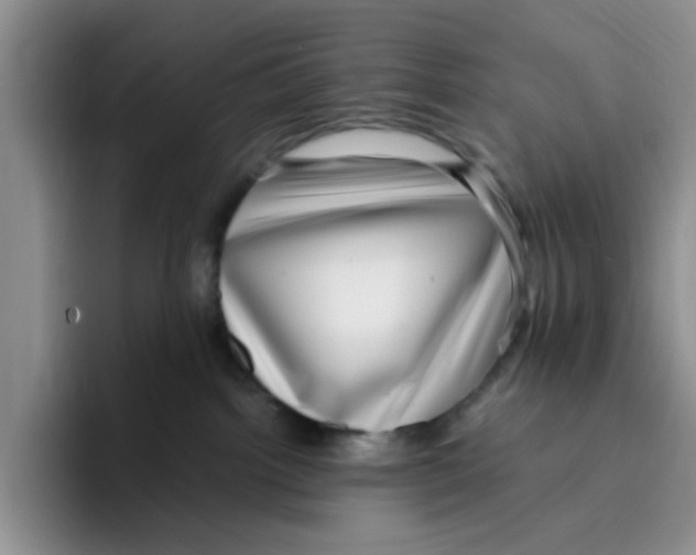 X0000096160092200802151423