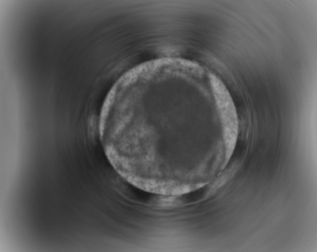 X0000096160093200802151423